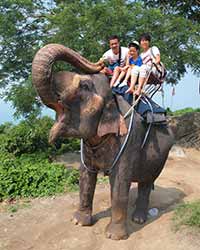Camp Chang Kalim Elephant Riding Patong Beach