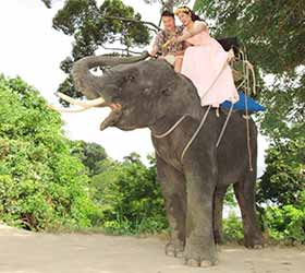 Camp Chang Kalim Elephant Pre Wedding Patong Beach